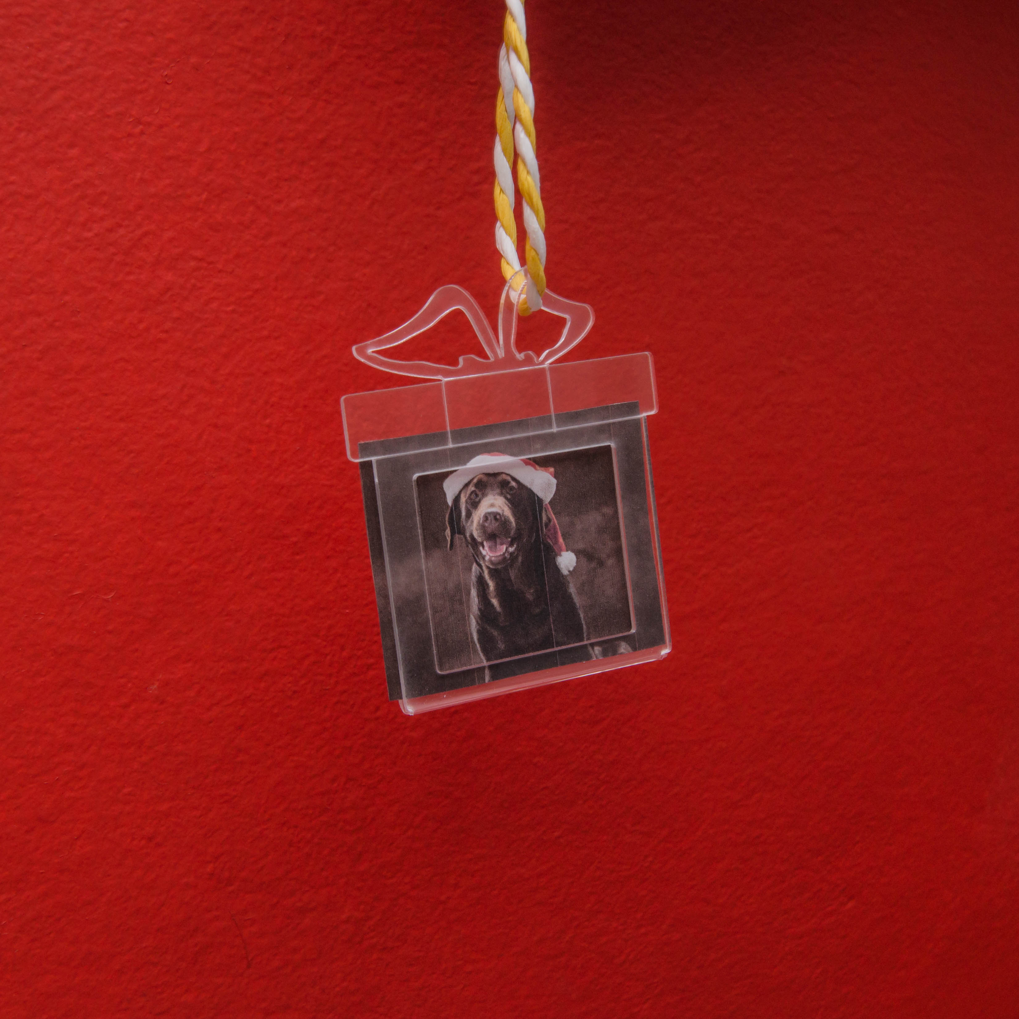 dap-002	Regalo 2